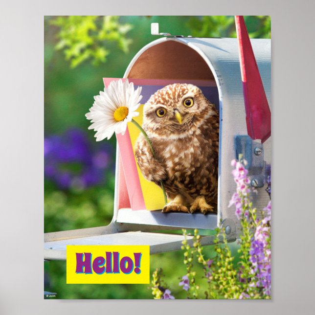 Uggla med blomning i postlåda poster (Framsidan)