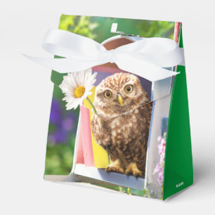 Uggla med blomning i postlåda presentaskar