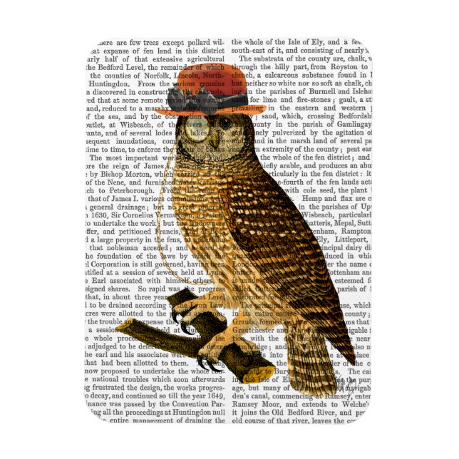 Uggla med Steampunk Stil Bowlareare Hat Magnet (Vertikal)