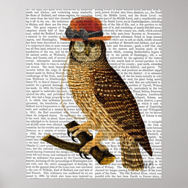 Uggla med Steampunk Stil Bowlareare Hat Poster (Framsidan)