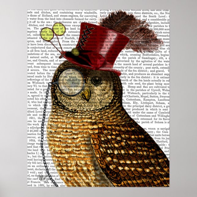 Uggla med Top hat Poster (Framsidan)
