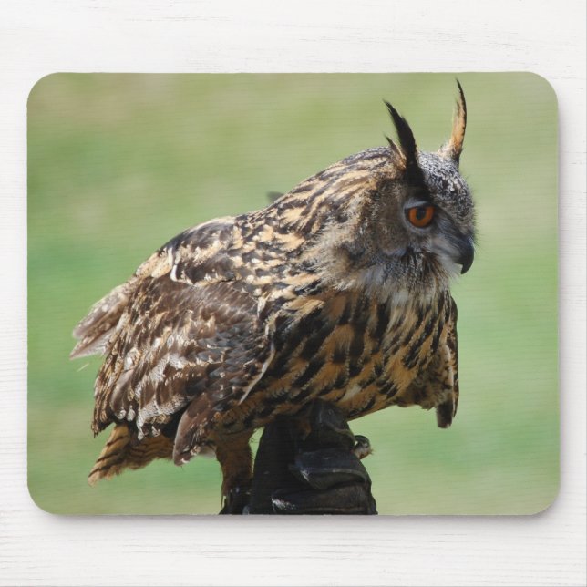 Uggla Mousepad Musmatta (Framsidan)