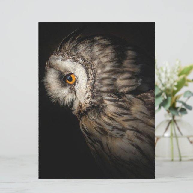 Uggla Mystical Öga | Uggla Älskare Gift (Stående Fram)