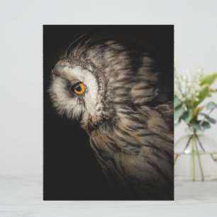 Uggla Mystical Öga   Uggla Älskare Gift