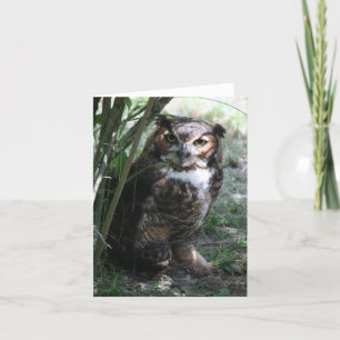 Uggla Notecard Kort