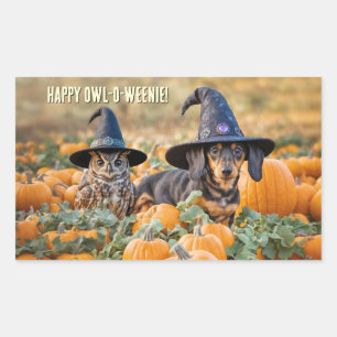 Uggla och Dachshund Wiener Hund Halloween Roligt Rektangulärt Klistermärke