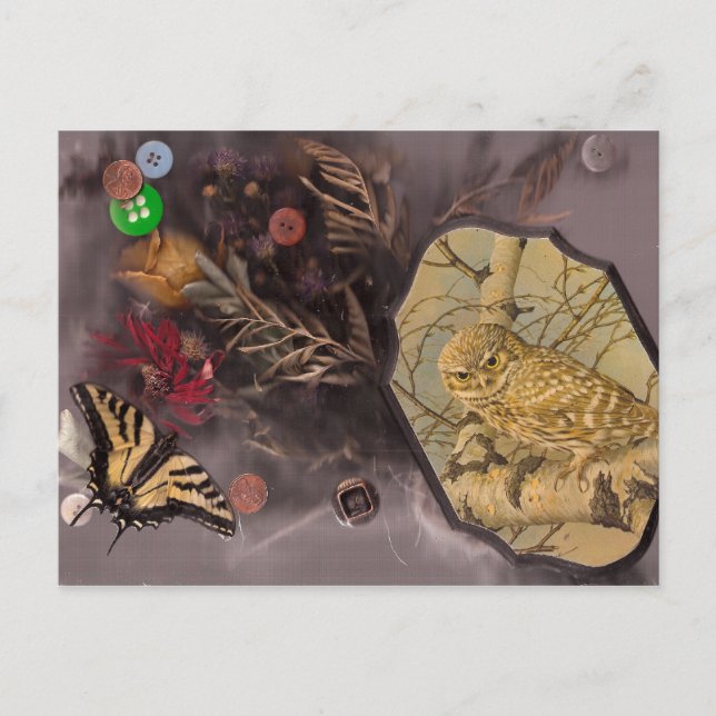 uggla och fjäril vykort (Framsida)