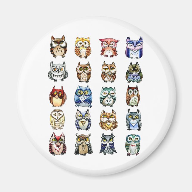 Uggla och Katt Magnet (Framsidan)