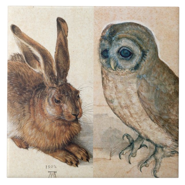 UGGLA OCH RABBIT (Young Hare) av Albrect Durer Kakelplatta (Framsidan)