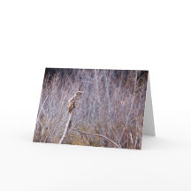 Uggla önskar er Glad helg