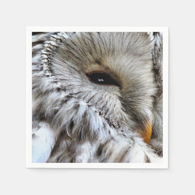 UGGLA PAPPERSSERVETT (Framsidan)