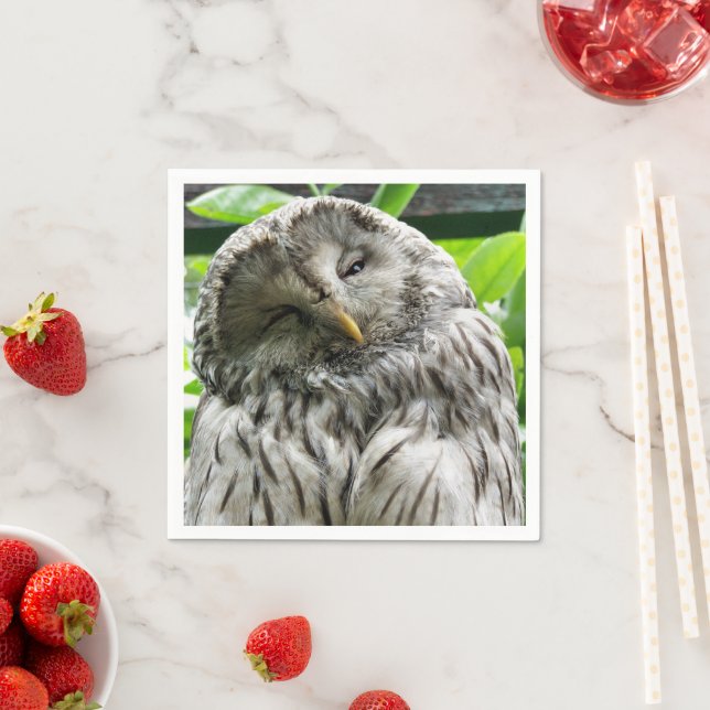 UGGLA PAPPERSSERVETT (Insitu)