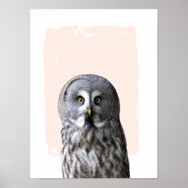 Uggla, plantskolevägg, konstdjur porträtt poster