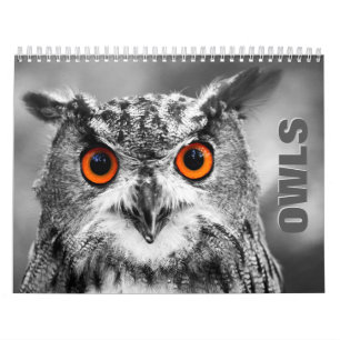 Uggla Porträtt 2022-väggskalender Kalender
