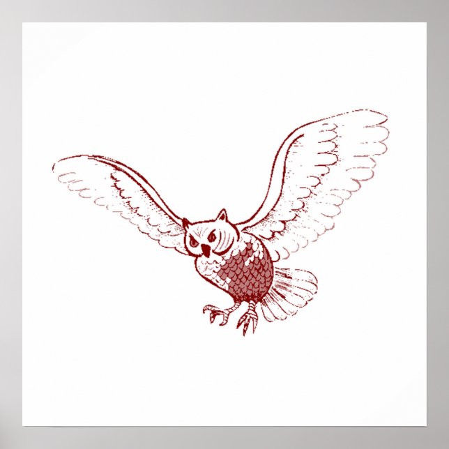 Uggla Poster (Framsidan)