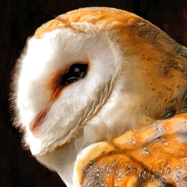 UGGLA PRESENTPAPPER (A beautiful soft focus watercolour of a Barn Owl.)