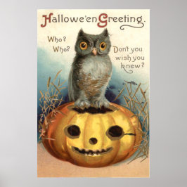 Uggla Pumpa Jack O Lantern Poster