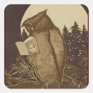 Uggla Reading by Moonlight Fyrkantigt Klistermärke
