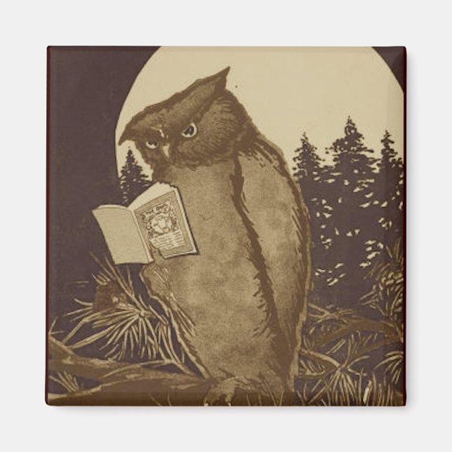 Uggla Reading by Moonlight Magnet (Framsidan)