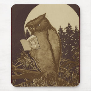 Uggla Reading by Moonlight Musmatta