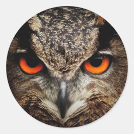 Uggla Runt Klistermärke