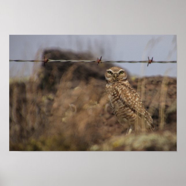 uggla ses! poster (Framsidan)