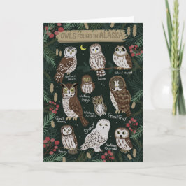Uggla som finns i Alaska-hälsningskort Kort
