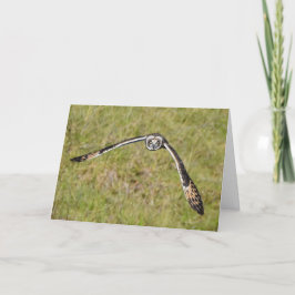 Uggla som flyger åt dig kort