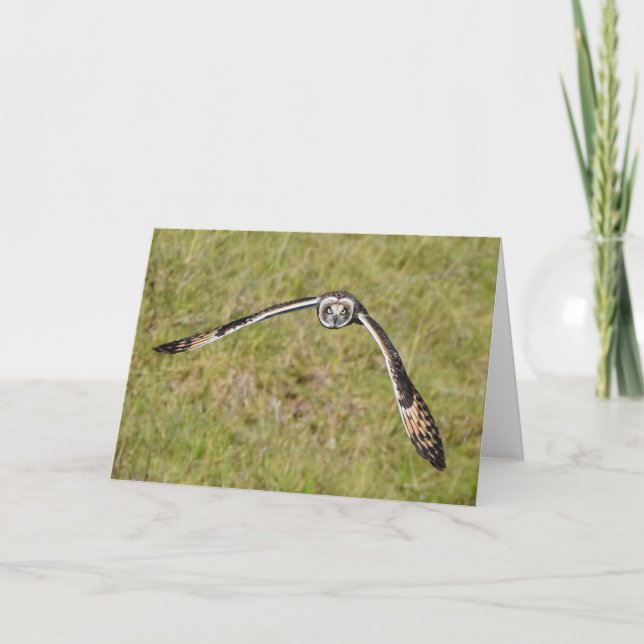 Uggla som flyger åt dig kort (Framsida)