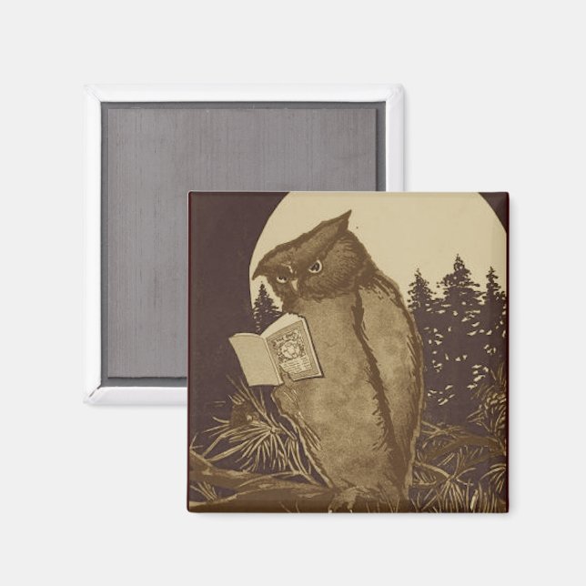 Uggla som läser i månsken magnet (Front/Back)