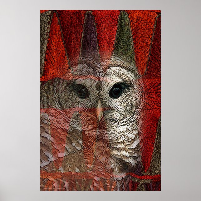 Uggla Spirit av Gregory Gallo Poster (Framsidan)