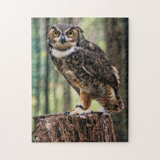 Uggla står stilla vid ett Träd-fågelperspektiv Pussel