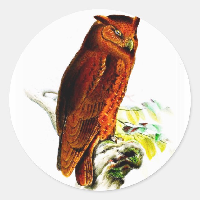 Uggla Stickers Runt Klistermärke (Framsida)