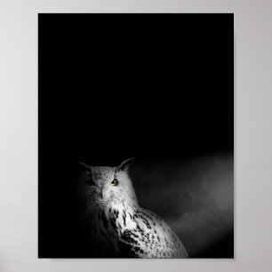 Uggla, svartvitt, fotografi poster