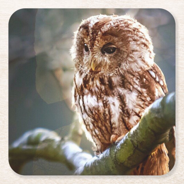 Uggla Underlägg Papper Kvadrat (Framsidan)