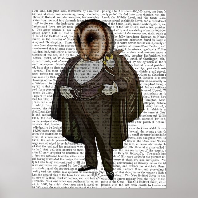 Uggla vid Opera Poster (Framsidan)