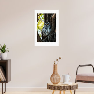 Uggla vilar i träd poster