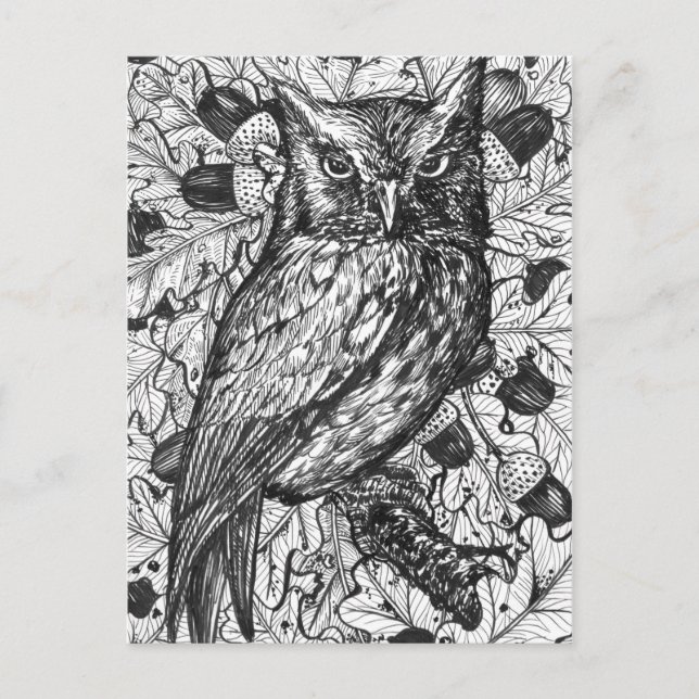 Uggla Vykort (Framsida)