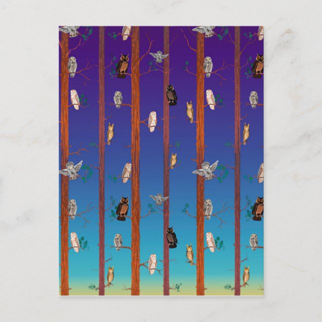 Uggla Vykort (Framsida)