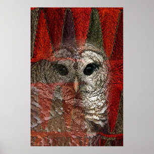 Ugglaande av Gregory Gallo Poster
