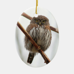 Ugglajulprydnad - nordlig Pygmy-Uggla Julgransprydnad Keramik