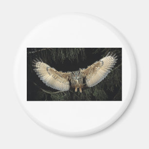 Ugglalandning Magnet