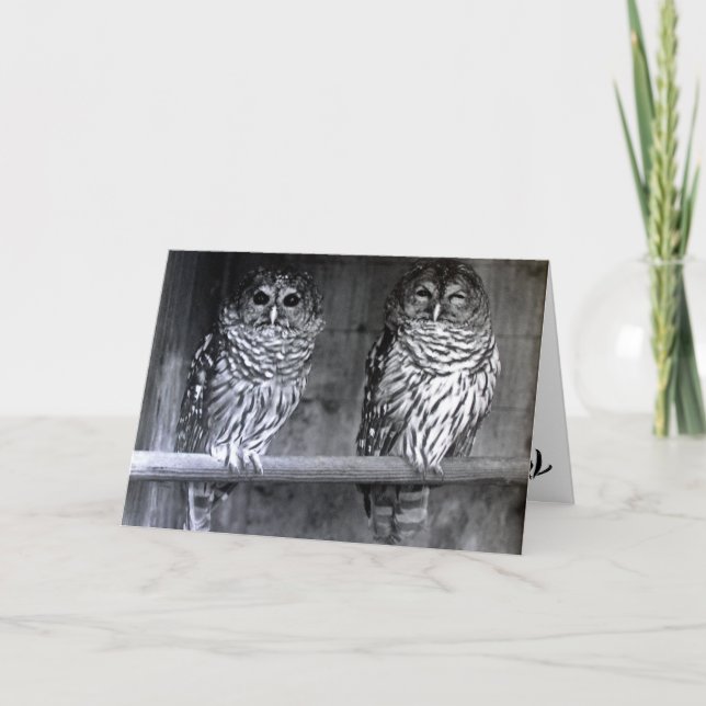 Ugglan fotograferar hälsningkort kort (Framsida)
