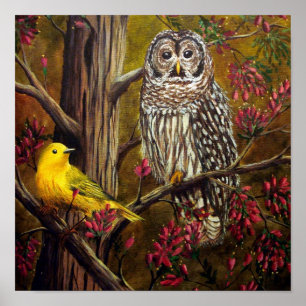 Ugglan och kanariefågeln poster