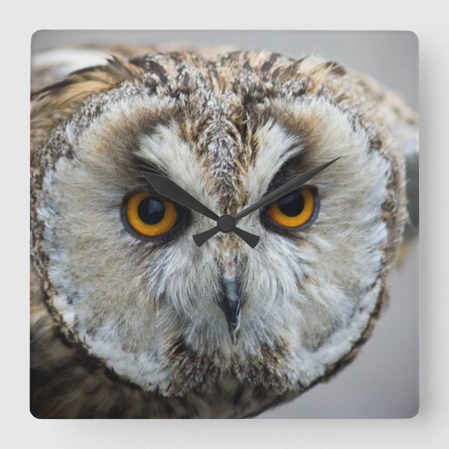Ugglan tar tid på fyrkantig klocka (Framsida)
