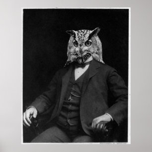 Ugglauppfinnare Poster