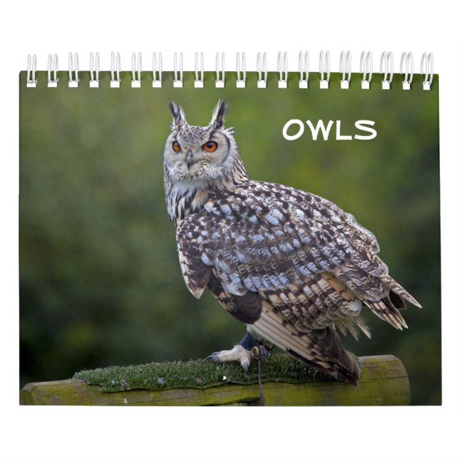 Ugglegurkalender Kalender (Omslag)