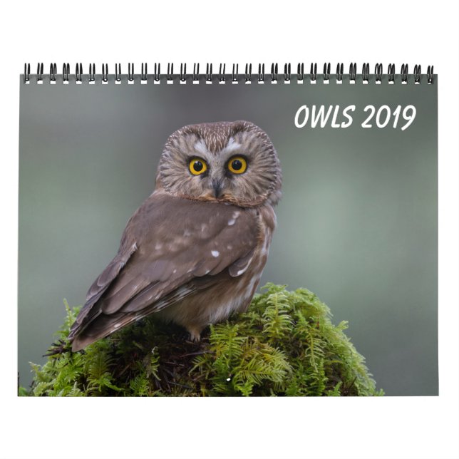 Ugglor 2019 kalender (Omslag)