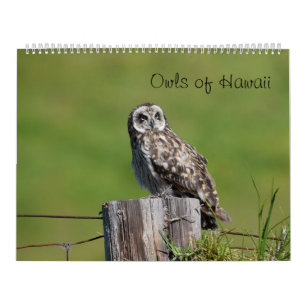 Ugglor av Hawaii Kalender