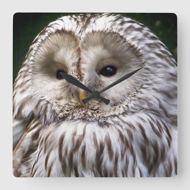 UGGLOR FYRKANTIG KLOCKA (Framsida)